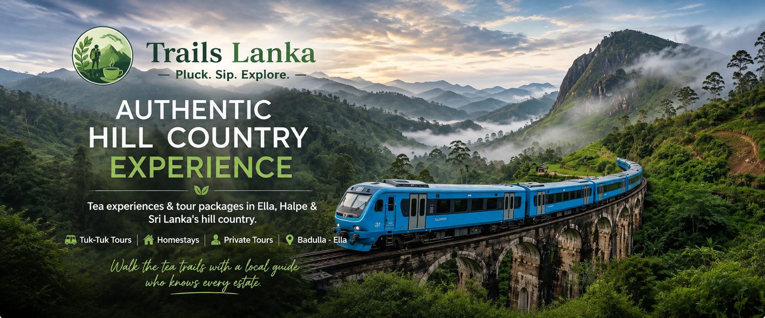 Trails Lanka, Pluck. Sip. Explore. Authentic hill country experience: tea experiences and tour packages in Ella, Halpe and Sri Lanka's hill country, with a blue train crossing the Nine Arches bridge
